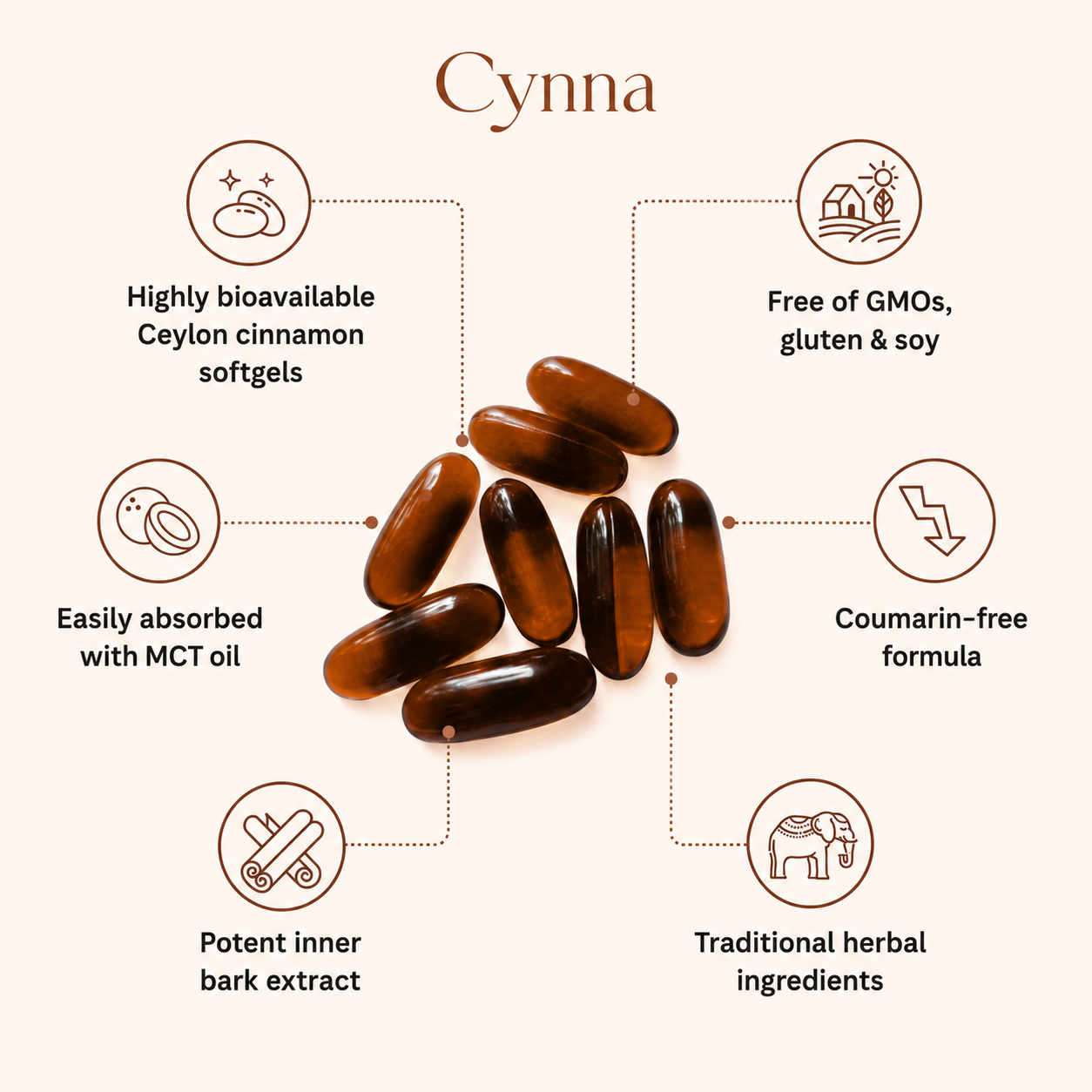 Ceylon Cinnamon 7200mg Equivalent with MCT Oil